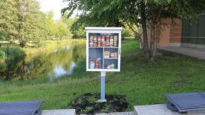 Little-Free-Food-Pantry